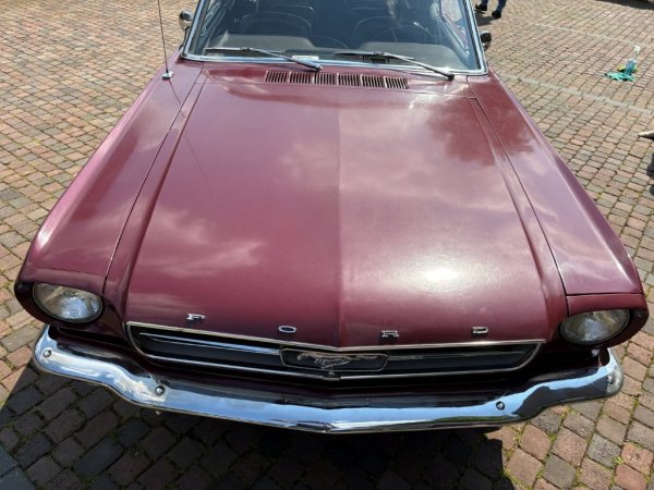 Mustang Convertible T-Code media 12