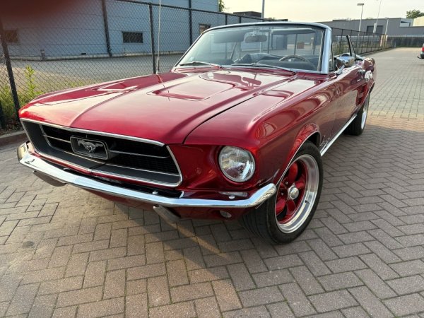 Mustang Convertible C-Code media 3