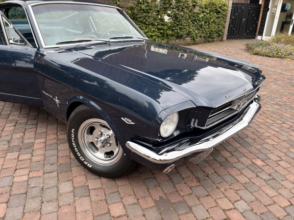 Mustang Fastback C-Code media 21