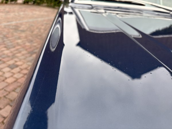 Mustang Fastback C-Code media 19
