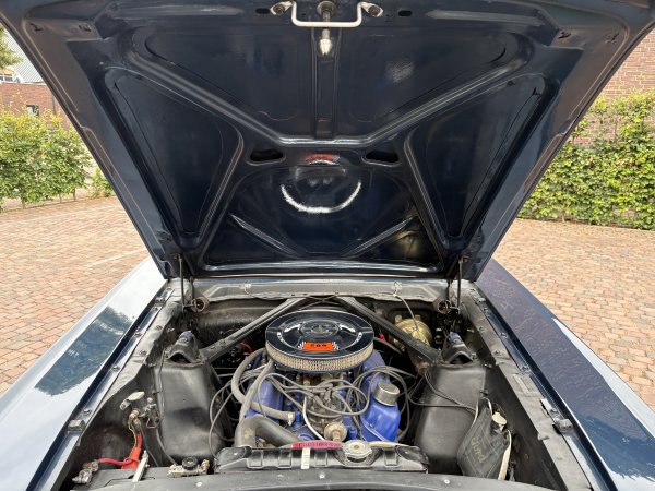 Mustang Fastback C-Code media 25