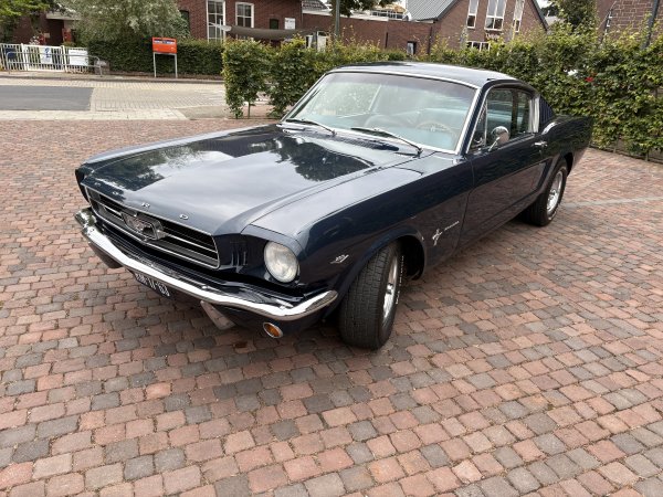 Mustang Fastback C-Code media 14