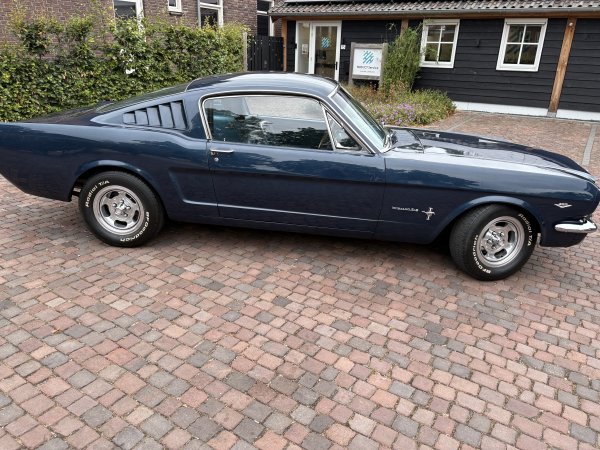 Mustang Fastback C-Code media 23