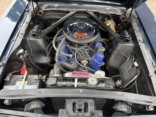 Mustang Fastback C-Code media 24