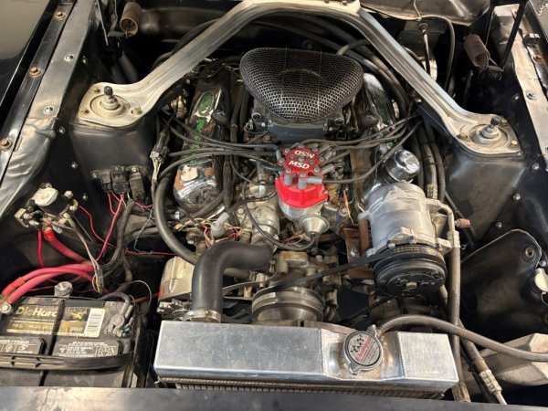 Mustang Fastback V8 408 media 7